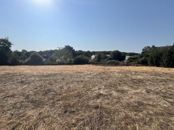 Baden terrain constructible