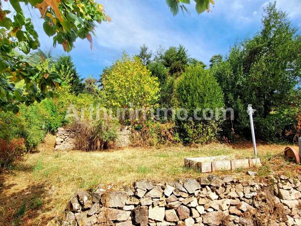 Vente                                                      Maison de village
                        
                     3 pièces                      71 m2                     à Saint-Julien-Molin-Molette