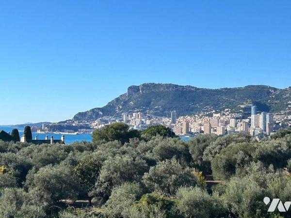 ROQUEBRUNE-CAP-MARTIN - PLATEAU DU CAP