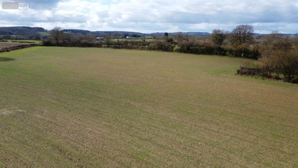 Achat - Maison Alençon 61000 6 pièces 213 m 2 26000 m 2