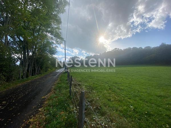 Terrain à Bâtir * 1500 M² * 15270 Champs Sur Tarentaine Marchal * 25 000  €