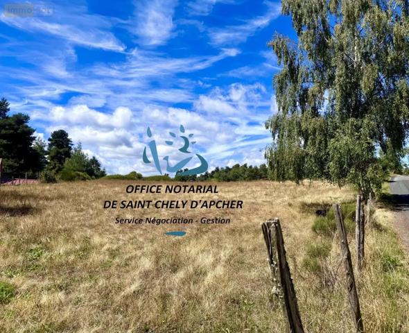 Achat - Terrain à bâtir Peyre en Aubrac 48130 2600 m 2