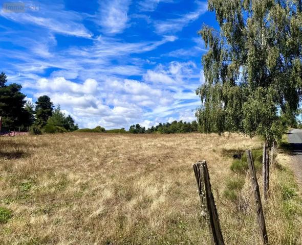 Achat - Terrain à bâtir Peyre en Aubrac 48130 2600 m 2
