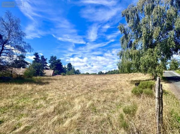 Achat - Terrain à bâtir Peyre en Aubrac 48130 2600 m 2