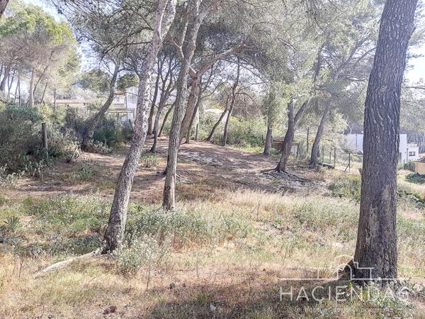 Ventabren (13122) Beau terrain dans un environnement paisible et pratique