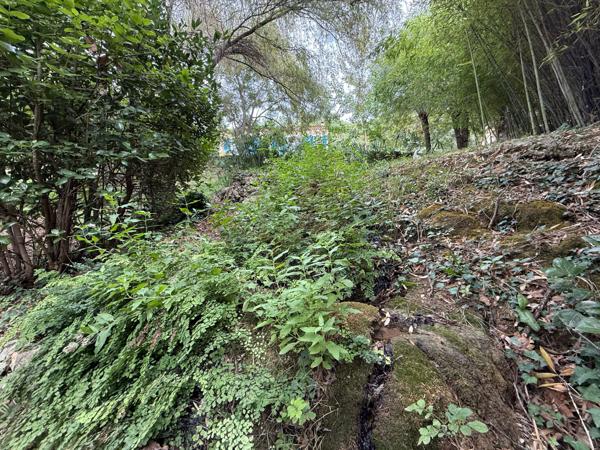 Lodève (34700) Magnifique maison contemporaine de 150 m² avec piscine à débordement et grand terrain de 10 800m² clos