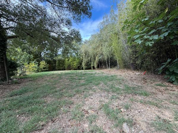 Lodève (34700) Magnifique maison contemporaine de 150 m² avec piscine à débordement et grand terrain de 10 800m² clos