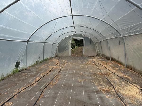 Lodève (34700) Magnifique maison contemporaine de 150 m² avec piscine à débordement et grand terrain de 10 800m² clos