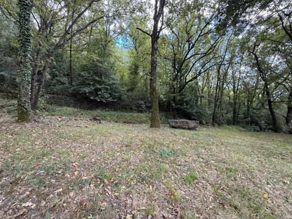 Lodève (34700) Magnifique maison contemporaine de 150 m² avec piscine à débordement et grand terrain de 10 800m² clos