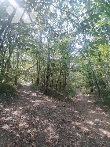 Terres de diverses natures