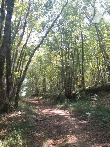 Terres de diverses natures