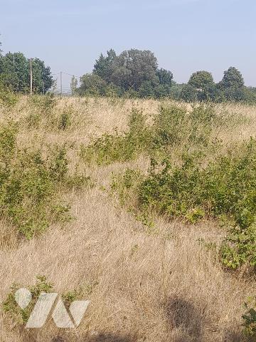 Terres de diverses natures