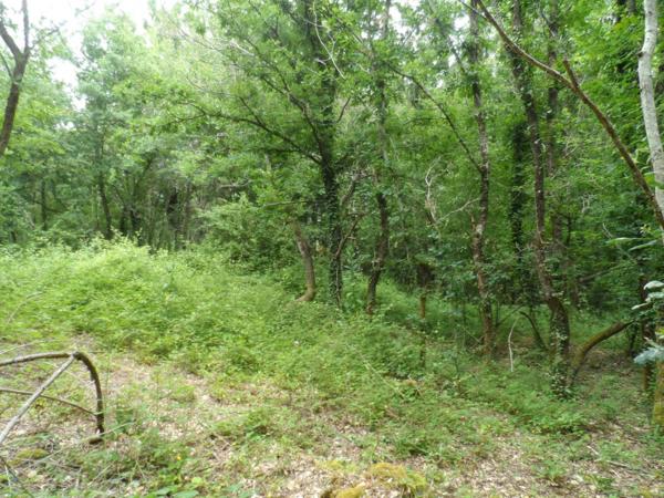 etang terrain de loisir