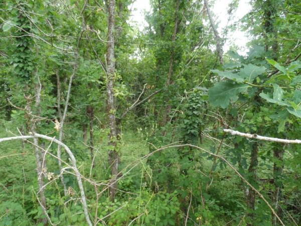 etang terrain de loisir