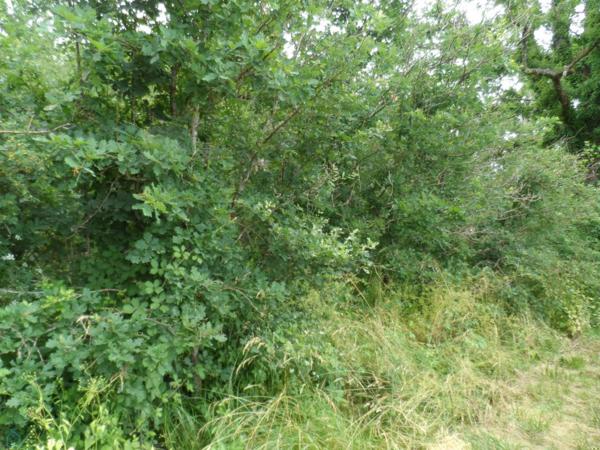 etang terrain de loisir