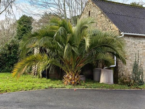 Achat - Maison Guidel 56520 8 pièces 257 m 2 9612 m 2