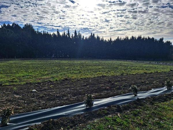Terrain à bâtir secteur Montréal