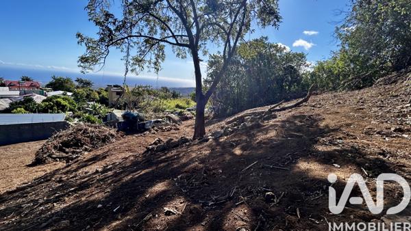 Terrain à vendre 746 m² Le Tampon
