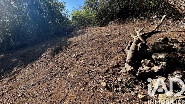 Terrain à vendre 746 m² Le Tampon