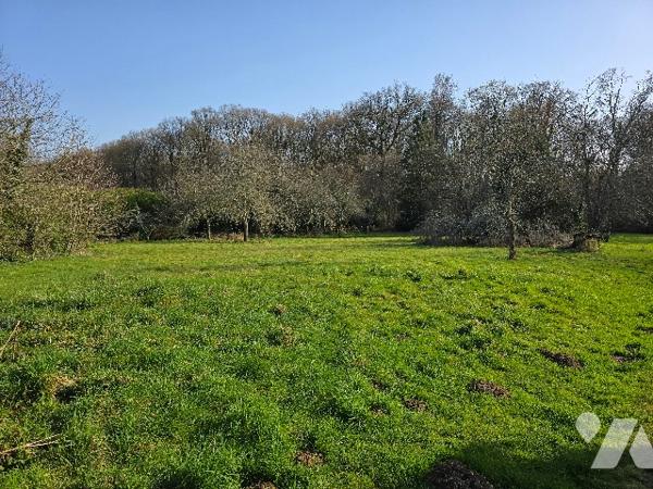 Maison de caractère 486 m² – 9 pièces – Terrain 3 500 m² – CERISIERS (89)