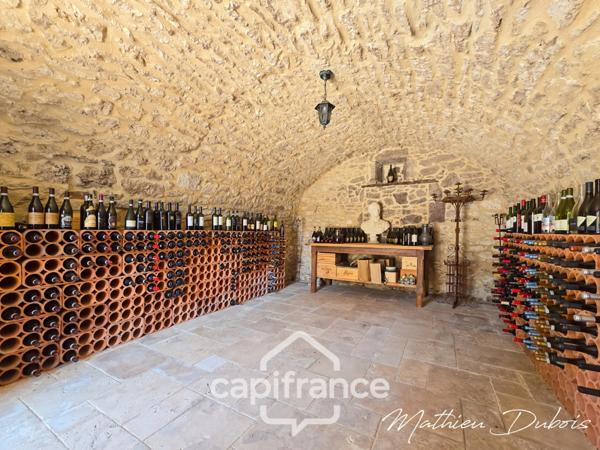 Manoir avec vue dominante au cœur du Périgord Pourpre