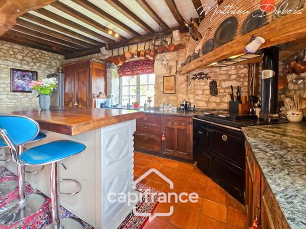 Manoir avec vue dominante au cœur du Périgord Pourpre