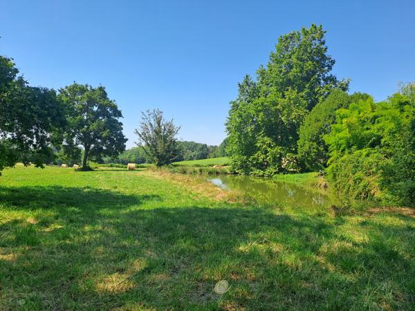 Maison de caractère en campagne sur 3 hectares avec son étang !