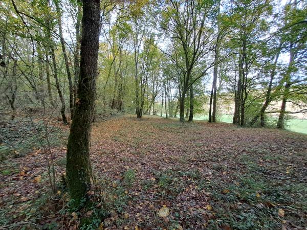 Maison de caractère en campagne sur 3 hectares avec son étang !