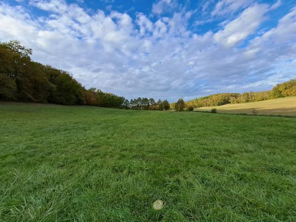 Maison de caractère en campagne sur 3 hectares avec son étang !