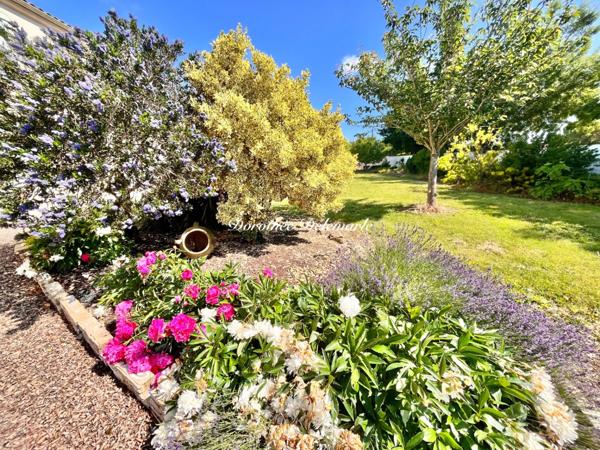 Maison à vendre 10 pièces LA BENATE (17) 408 m² AVEC PISCINE – VUE CAMPAGNE – ENTRE SAINT-JEAN-D’ANGÉLY ET SURGÈRES