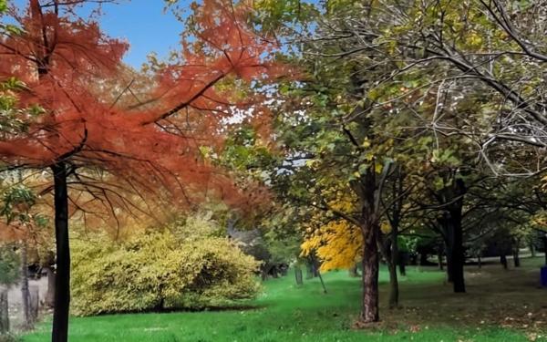 Maison à vendre    5 pièces • 104 m2 Gournay-en-Bray