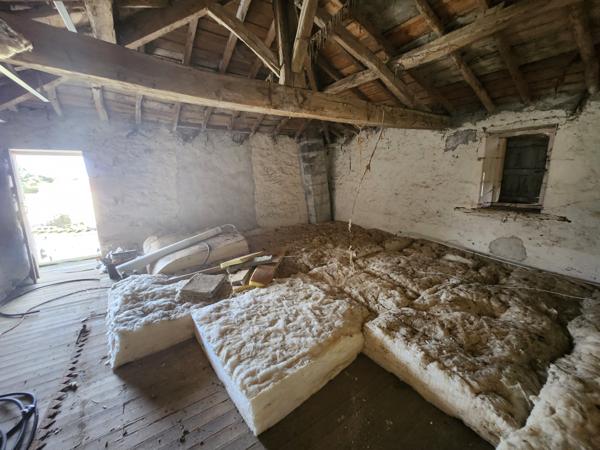 Saint-Aubin-la-Plaine (85210) Maison en pierre avec dépendances et fort potentiel