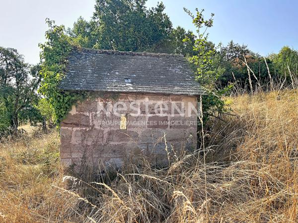 Terrain à vendre à Objat - 3967 m² en pleine nature