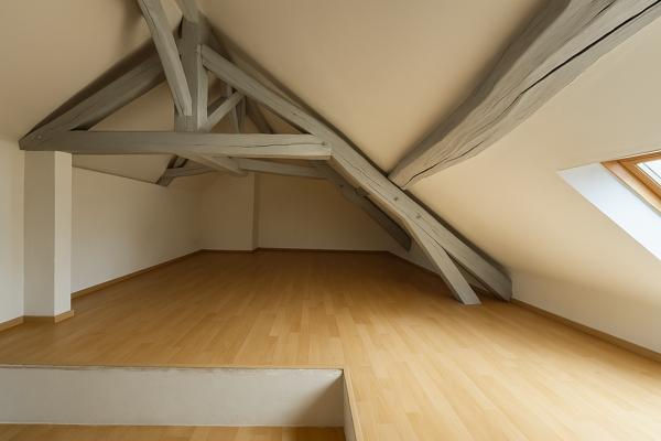 Duplex