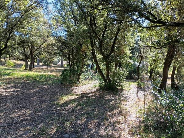 Mas en pierres mitoyen proche Anduze sur terrain constructible de 3300 m2