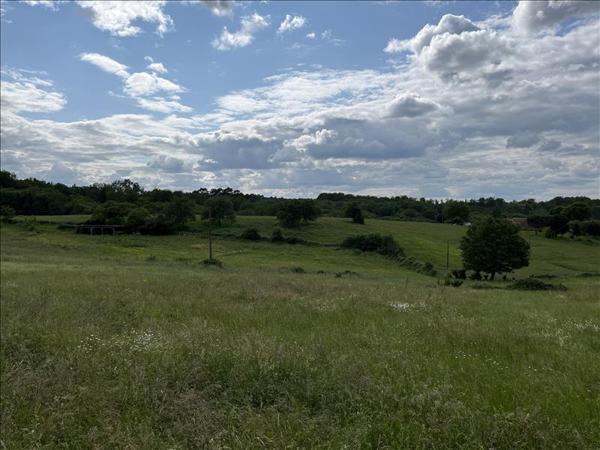 Terrain à vendre |  Saint-Cyprien |  1192 m²