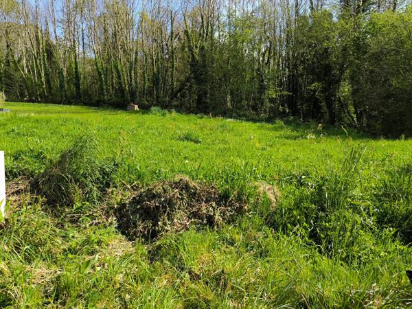 Terrain constructible et viabilisé de 643m²