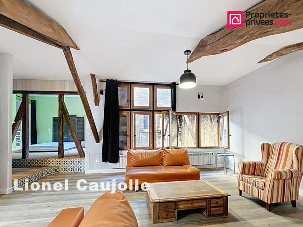Appartement type Loft L'Isle-Sur-Tarn 2 pièces 51.46 m2
