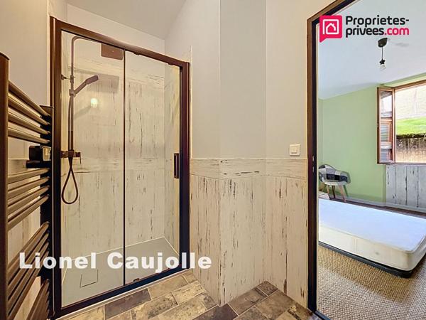 Appartement type Loft L'Isle-Sur-Tarn 2 pièces 51.46 m2