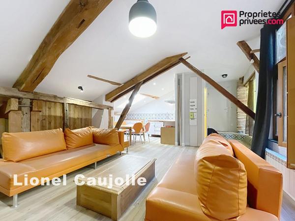 Appartement type Loft L'Isle-Sur-Tarn 2 pièces 51.46 m2