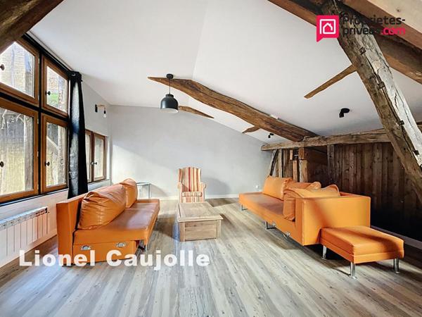 Appartement type Loft L'Isle-Sur-Tarn 2 pièces 51.46 m2