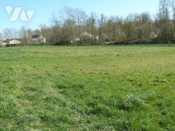 Terrain à Vendre à Rambervillers (88700) en Vosges (88)

Terrain à bâtir plat, d'une superfic...