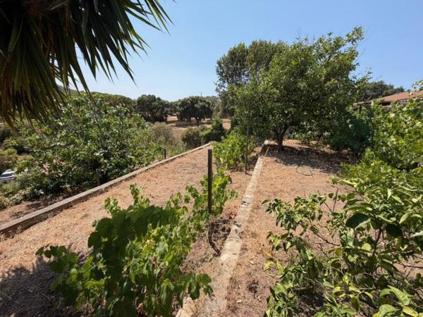 Vente / Maison T5 à Ajaccio (20090)