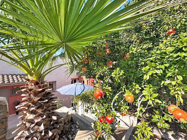 Maison Vigneronne avec Garage terrasse et jardin