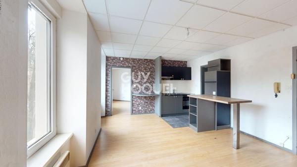 Immeuble 600 m2 centre historique de Mulhouse 9xF2 + 2 locaux commerciaux