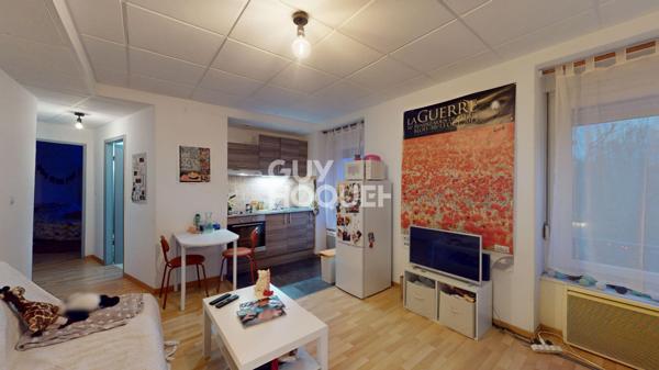 Immeuble 600 m2 centre historique de Mulhouse 9xF2 + 2 locaux commerciaux