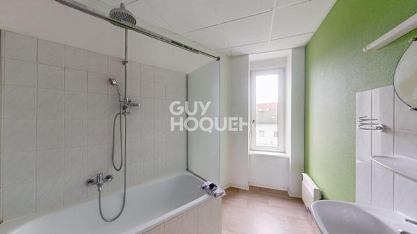 Immeuble 600 m2 centre historique de Mulhouse 9xF2 + 2 locaux commerciaux