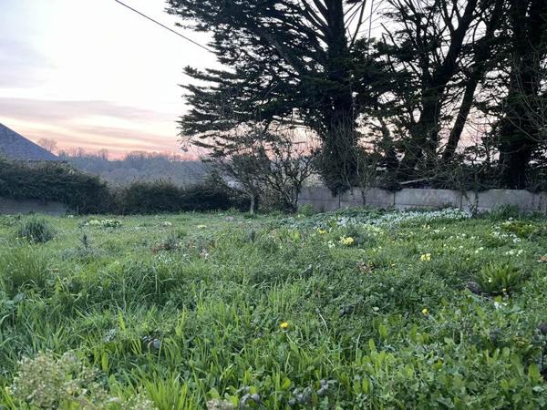Terrain à vendre 39 500 € Sizun 370 m² DPE
