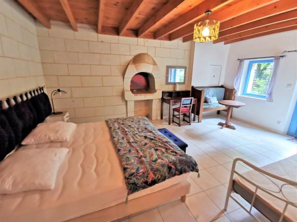 Vente Maison de luxe Doué-la-Fontaine 15 Pièces 680 m²