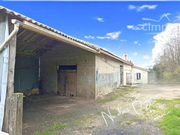 Maison à rénover avec dépendance et grand terrain – Le Fouilloux